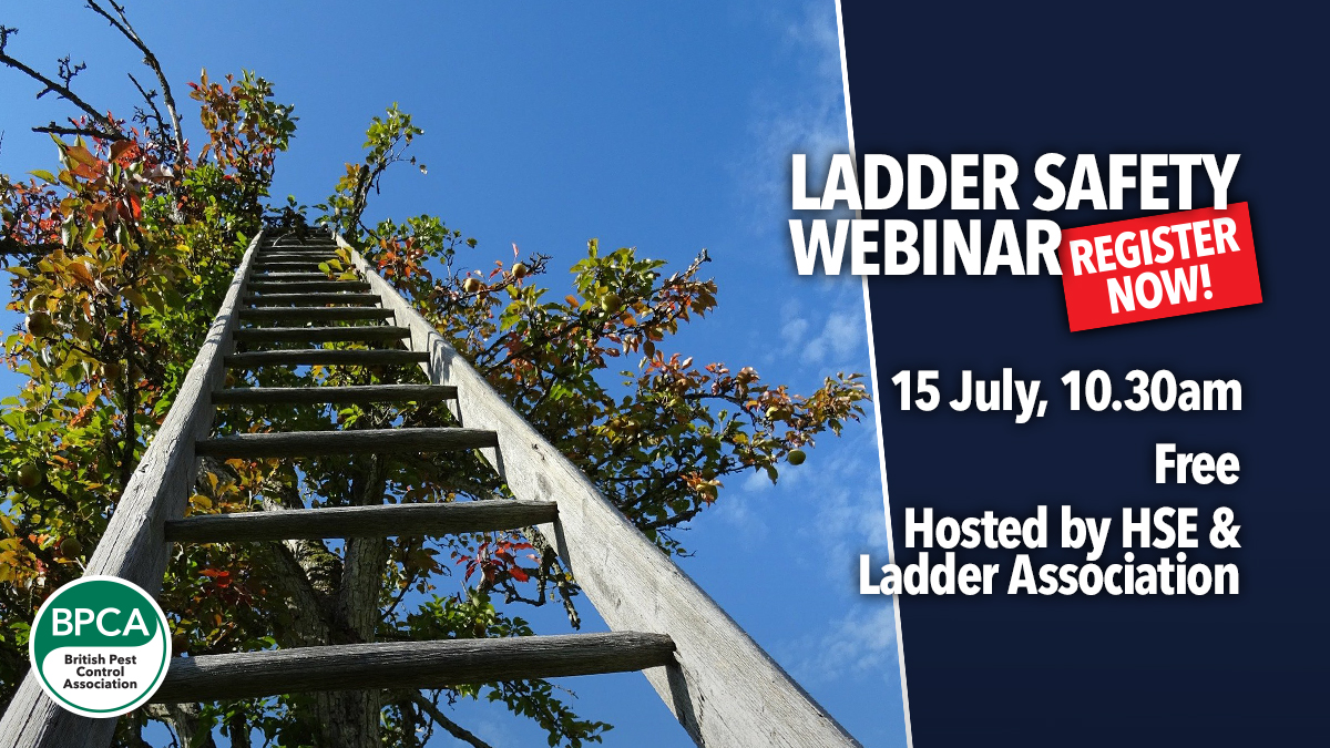 ladder-safety-guidance-out-now ladder-safety-guidance-out-now